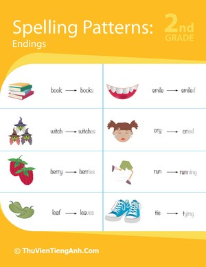 Spelling Patterns: Endings