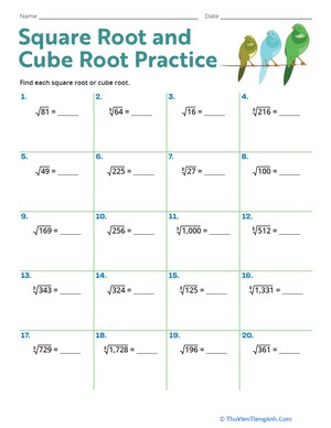 Square Root and Cube Root Practice
