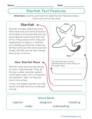 Starfish Text Features