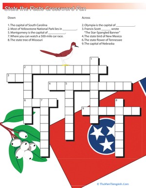 State the Facts Crossword #4