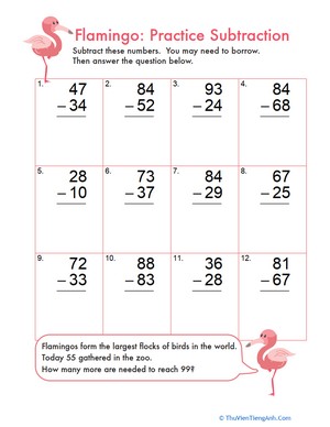 Flamingo Fun: Practice Two-Digit Subtraction