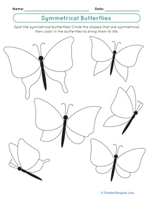 Symmetrical Butterflies