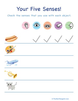 Learning the Five Senses