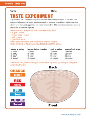 Taste Map