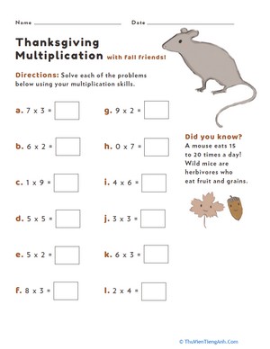 Thanksgiving Multiplication #5
