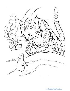 Cat and Mouse Coloring Page