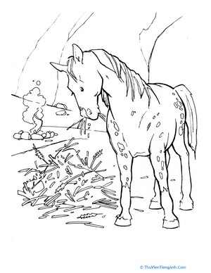 Wild Horse Coloring Page
