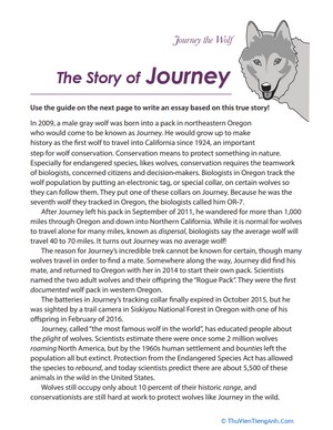 The Story of Journey