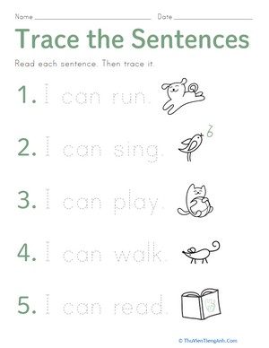 Trace the Sentences
