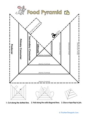 Trophic Level Pyramid