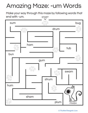 Amazing Maze: -um Word Family