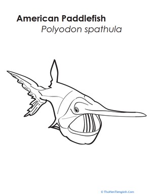 American Paddlefish Coloring Page