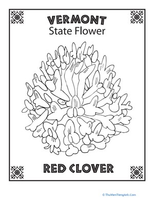 Vermont State Flower