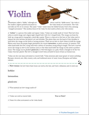 Violin Facts
