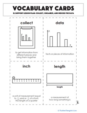 Vocabulary Cards: Collect, Organize, and Discuss the Data