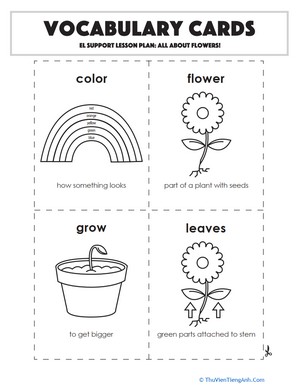 Vocabulary Cards: All About Flowers