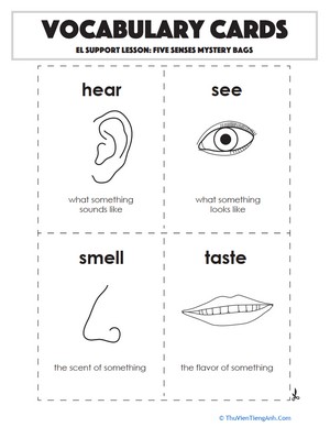 Vocabulary Cards: Five Senses Mystery Bags