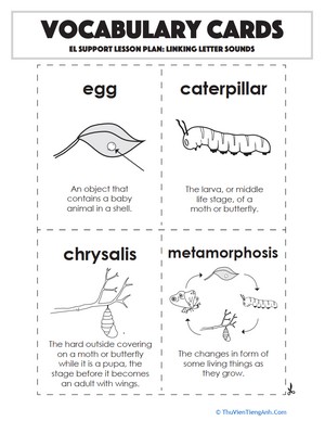 Vocabulary Cards: Linking Letter Sounds