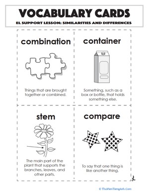Vocabulary Cards: Similarities and Differences