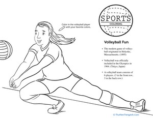 Volleyball Coloring