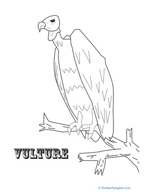 Vulture Coloring Sheet