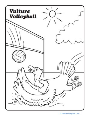 Vulture Volleyball