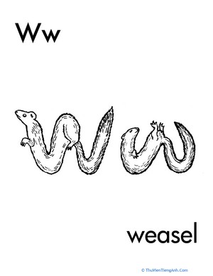 W for Weasel
