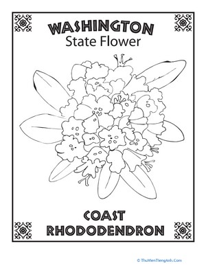 Washington State Flower