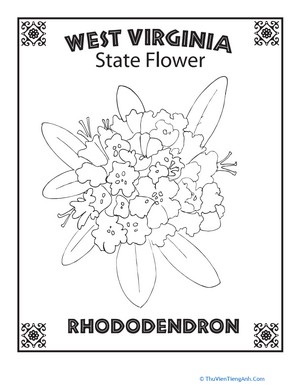 West Virginia State Flower