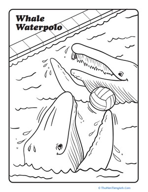 Whale Water Polo