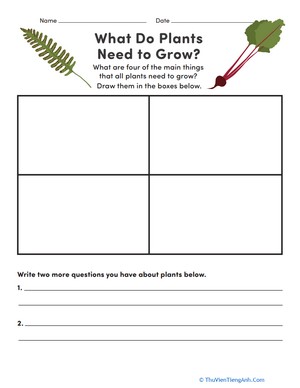 What Do Plants Need to Grow?