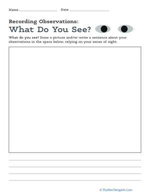 Recording Observations: What Do You See?