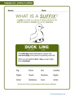 What is a Suffix?