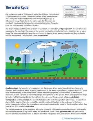 What Is the Water Cycle?