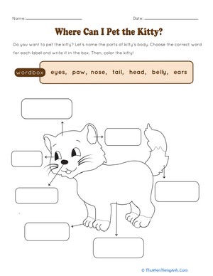 Where Can I Pet the Kitty?