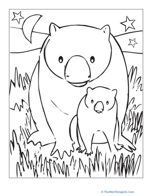Wombat Coloring Page