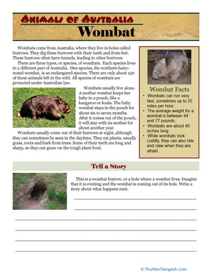 Wombat Facts