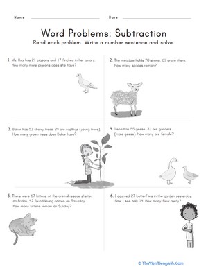 Word Problems: Subtraction
