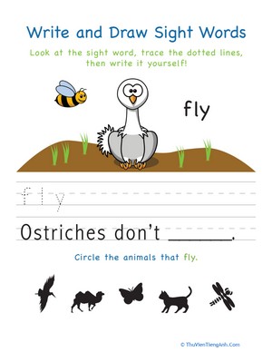 Write and Draw Sight Words: Fly