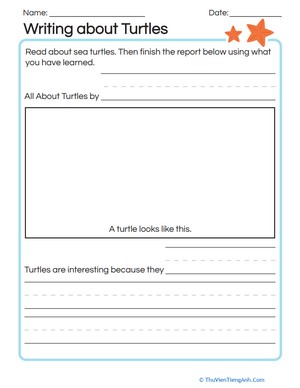 Writing about Turtles