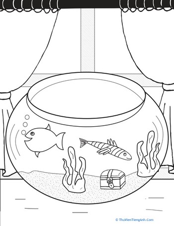 Color the Fishbowl