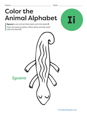 Color the Animal Alphabet: I