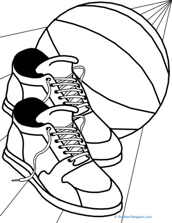Color the Basketball Shoes