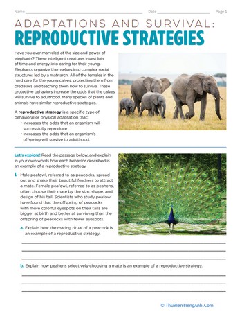 Adaptations and Survival: Reproduction Strategies