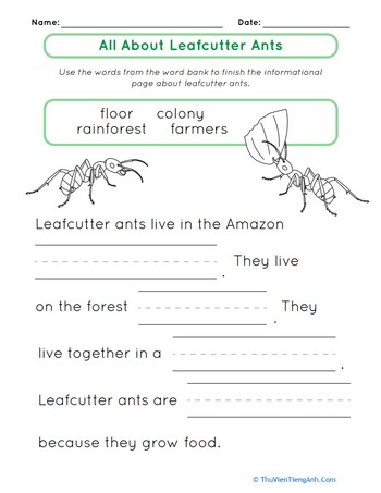 All About Leafcutter Ants
