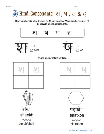 An Introduction to Hindi Consonants: Sh, Sh, Sa, Ha