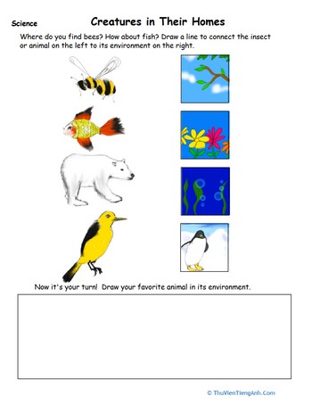 Animal Habitat Drawing Page