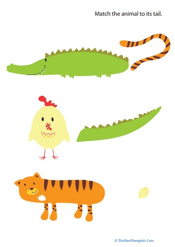 Animal Tails For Kids #2