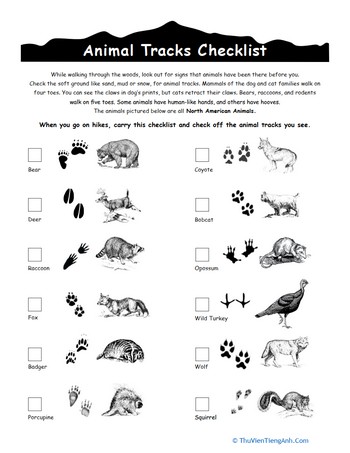 Animal Tracks Guide