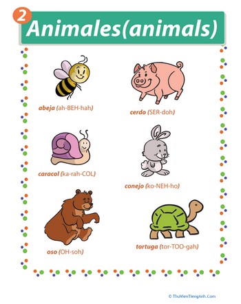 Spanish Names for Animals